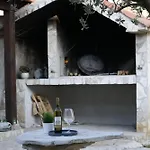 Maslina Stankovci (Zadar)