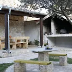 Maslina * Stankovci (Zadar)