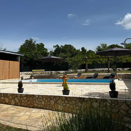 Maslina * Stankovci (Zadar)