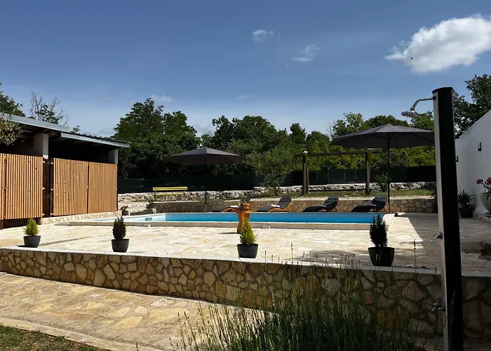 Maslina * Stankovci (Zadar)